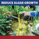 InstaFix Moss Control for Fountains and Ponds