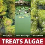 InstaFix Moss Control for Fountains and Ponds
