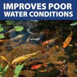 InstaFix Moss Control for Fountains and Ponds