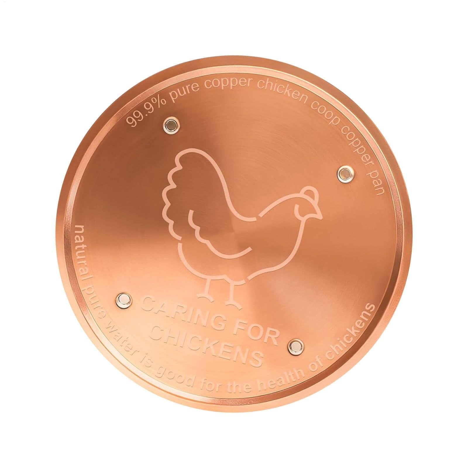 Copper Bird Bath Water Purifier Cleaning Disc