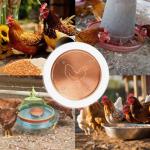 Copper Bird Bath Water Purifier Cleaning Disc