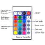 Multicolor Remote Control Underwater Pond Light