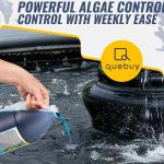 FounTec Algaecide & Clarifier for Fountains