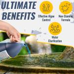 FounTec Algaecide & Clarifier for Fountains