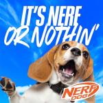 Nerf Dog Rainbow Vortex Tug Toy for Medium/Large Dogs