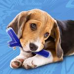 Nerf Dog Peanut Butter Scented Dog Toy 25.4cm