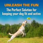 Nerf Dog Squeaker Football Toy