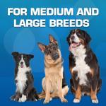 Nerf Dog Squeaker Football Toy