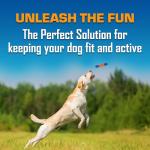 Nerf Dog 8-Inch Squeaky Stick Toy - Blue/Orange