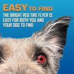 Nerf Dog Atomic Flyer Frisbee for Medium/Large Dogs