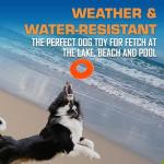 Nerf Dog 10-Inch Atomic Flyer Toy - Orange