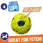 Nerf Dog Light-Up Green Bash Ball Toy