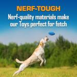 Nerf Dog Gift Set: Interactive Rubber Toy Balls