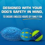 Nerf Dog Gift Set: Interactive Rubber Toy Balls