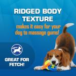 Nerf Dog Toy Gift Set: Three Fun Toys