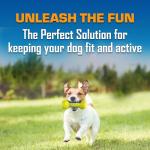 Nerf Dog Toy Gift Set: Three Fun Toys