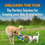 Nerf Dog Trackshot Tug and Fetch Toy 2 Pack