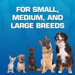 Nerf Dog Toy Gift Set: Three Fun Toys