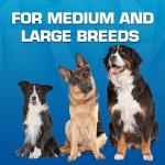 Nerf Dog Trackshot Tug and Fetch Toy 2 Pack