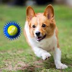 Nerf Dog Squeak Armor Tennis Balls 3-Pack