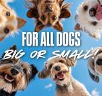 Nerf Dog Tennis Ball Blaster Toy – Blue/Orange