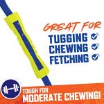 Nerf Dog 12in Foam Competition Stick - Blue/Green