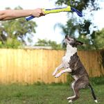 Nerf Dog 12in Foam Competition Stick - Blue/Green