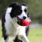 Nerf Dog 5-Inch Red Squeaker Football