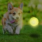Nerf Dog LED Interactive Ball, Lightweight and Waterproof