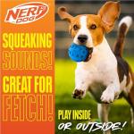 Nerf Dog Squeaky Boule Toy