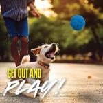 Nerf Dog Squeaky Boule Toy