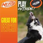 Nerf Dog Lightweight Frisbee Toy for Medium/Large Breeds