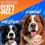 Nerf Dog Squeaky Boule Toy