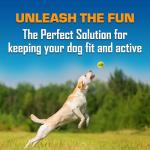 Nerf Dog 16-Piece Squeaky Toy Set