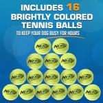 Nerf Dog 16-Piece Squeaky Toy Set