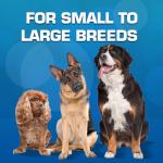 Nerf Dog 16-Piece Squeaky Toy Set