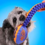 Nerf Dog Three-Piece Toy Gift Set