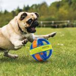 Interactive Nerf Dog Squeaky Ball, 5 inch