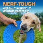 Nerf Dog Tire Flyer Fetch Toy - 10 Inch