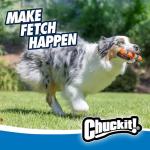 Chuckit! 12 Inch Ultra Fetch Stick Toy