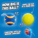 Chuckit! Ultra Squeaker Balls for Playtime Fun