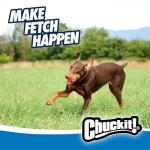 Chuckit! Ultra Ball for Large Dogs