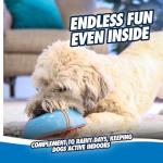Chuckit! Indoor Super Slider Fetch Squeaky Toy
