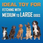 Nerf Dog Tire Flyer Fetch Toy - 10 Inch