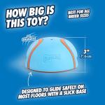 Chuckit! Indoor Super Slider Fetch Squeaky Toy