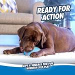 Chuckit! Indoor Super Slider Fetch Squeaky Toy