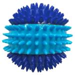 Nerf Dog Spike Squeak Ball Toy - Blue