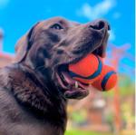 Chuckit! Ultra Tumbler Fetch Toy for Dogs