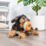 Chuckit! Indoor Fetch Roller Dog Toy - Fun Play