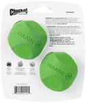 Chuckit! Erratic Ball Dog Toy - 2 Pack